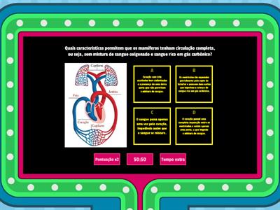 Sistema Cardiovascular 