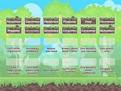 Ecosystem Vocabulary Review