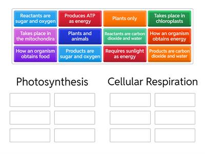 Photosynthesis v Cellular Respiration