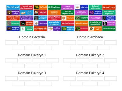 Domain Classification of Living Things