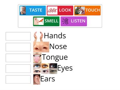 SM1 - Senses and body parts - Chris' Escuela de Idiomas