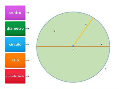 As partes da circunferência