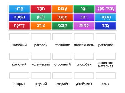 הגמל - אוצר מילים