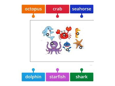 Sea animals