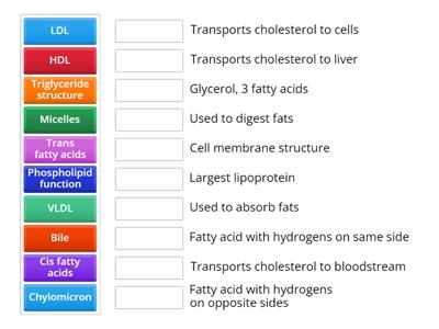 Fats Review