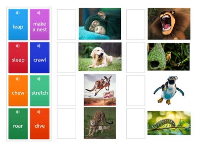 Beehive 4, unit 1, lesson 3