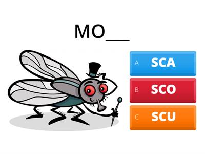  COMPLETA: SCA - SCO - SCU 