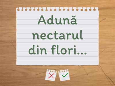 Știu că este primăvară!
