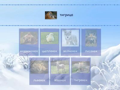 Звук ц. Назови маму и малыша (куриЦА- цыпленок, медведиЦА - медвежонок)