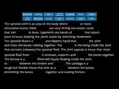 The Synovial Joint