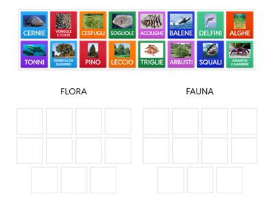 QUIZ GEOGRAFIA: FLORA E FAUNA DI MARE 