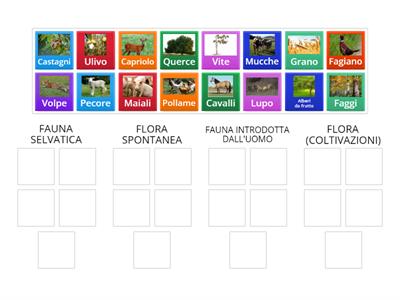 FLORA E FAUNA COLLINA