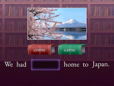 Past simple vs past participle