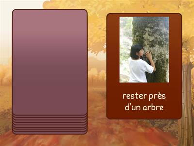 Dans la foret cards