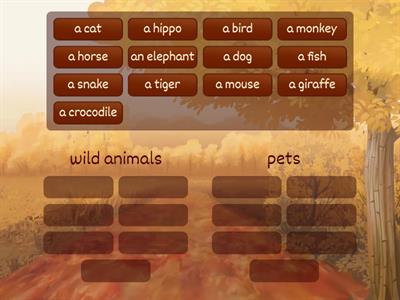 Kid's box 1 UNIT 7 PET vs WILD ANIMALS