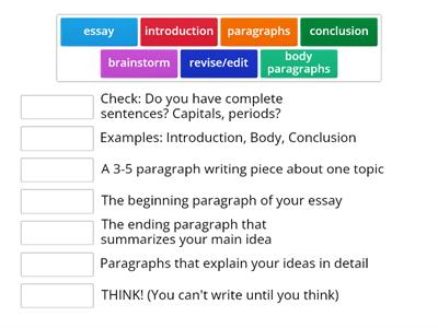 Essay writing for beginners