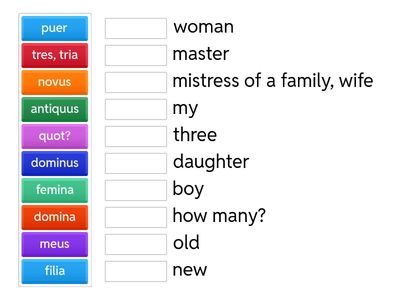 7th Grade Chapter 2 Vocabulary