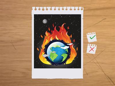 EL MEDIO AMBIENTE