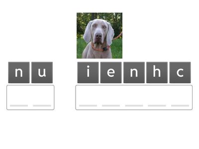  Les animaux domestiques 