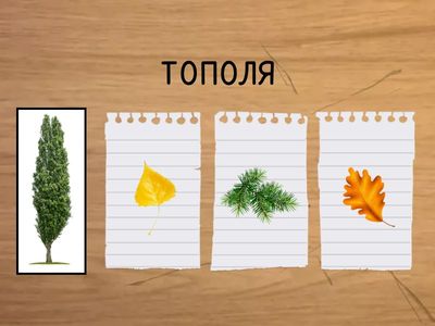 Підбери листочок до дерева