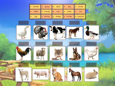 Domestic animals BASIC English A1