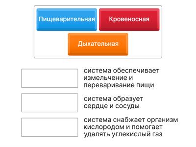 Окр.мир. 3класс. Тест "Человек - часть природы. Строение тела человека"