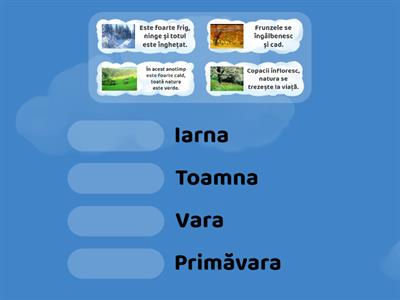 Limba română pentru străini