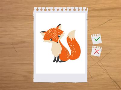 Animals (ESL 1)-Unit 3