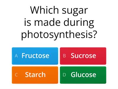 Junior cert Photosynthesis