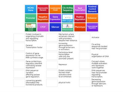 Transcriptional regulation