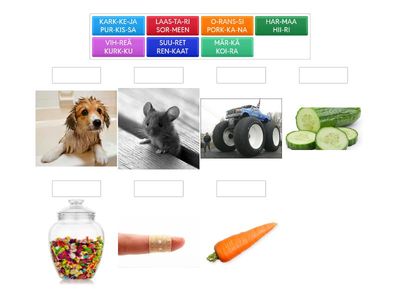 R-lauseet, lue tarkasti, toista kolme kertaa ja yhdistä kuvaan