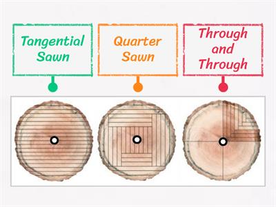 Timber Conversion