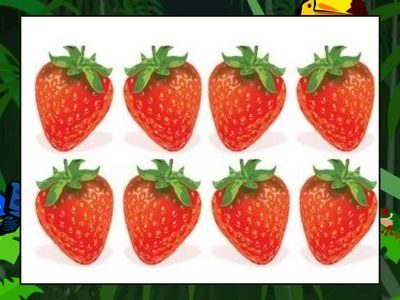   Число и количество предметов