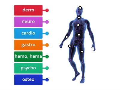 Greek Medical Terms (Barton 10.9)