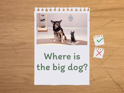 FLASH CARDS opposite, next to, between