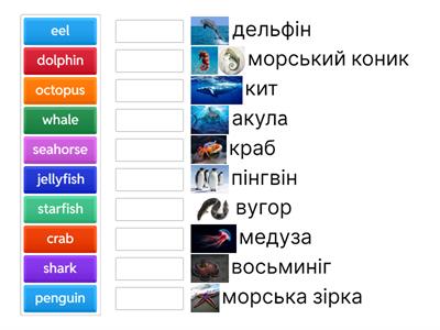 Academy Stars 3 Unit 6