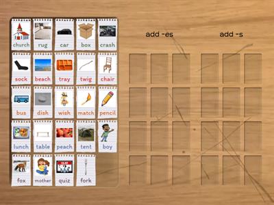 Plural nouns (-s/-es)