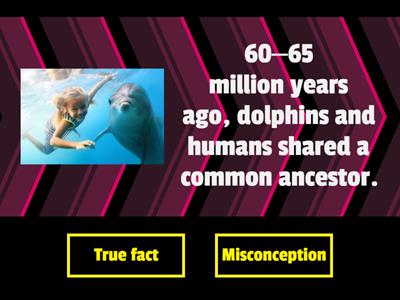 10 класс U6 lesson8