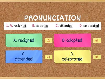 Phonetics & Vocabulary