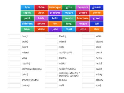 Adjectifs