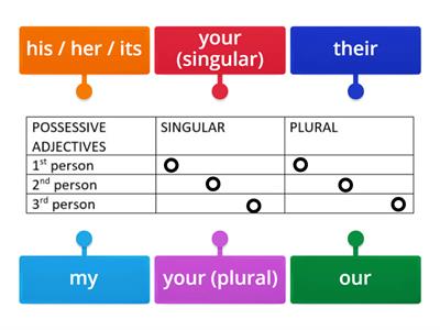 Possessive Adjectives