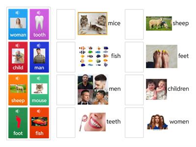 Существительные мн. ч., исключения