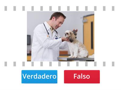 CUIDADO DE ANIMALES