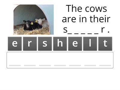 What do animals need to live? 