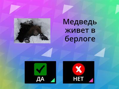 Дикие животные леса