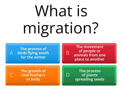 Grade 5 Adams Social Studies