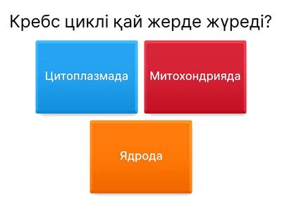 Без названия1