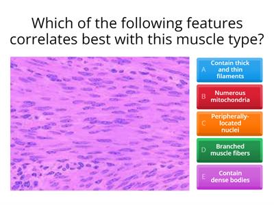 Muscle types