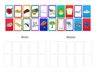 KS3 Biotic and Abiotic Group sort