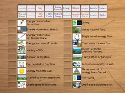 Energy Flow Vocabulary